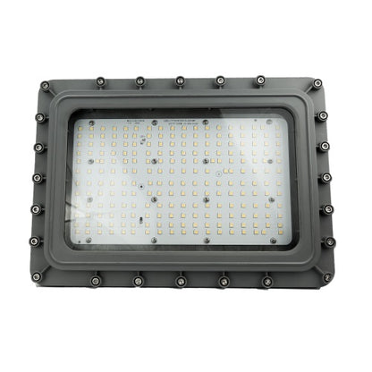 D Series LED Explosion Proof Flood Light